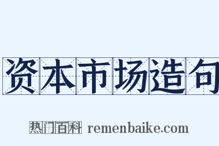 资本市场造句是什么意思的图片